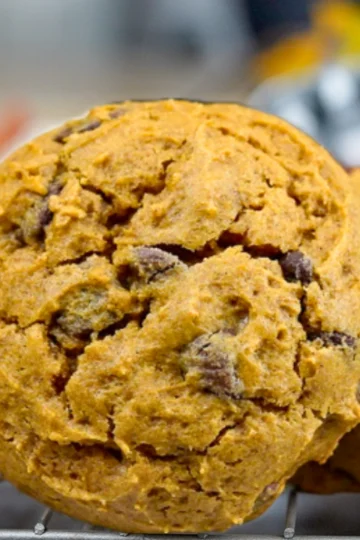 Pumpkin Chocolate Chip Cookies | Soft & Chewy Recipe — Kelvin's Kitchen