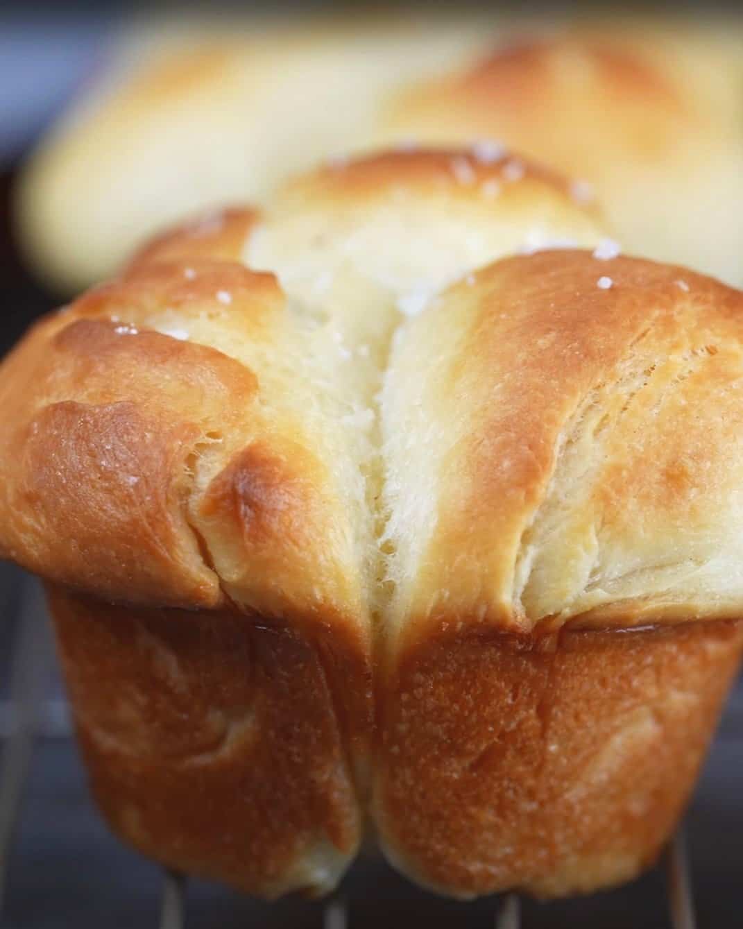 Homemade Cloverleaf Dinner Rolls - step 2