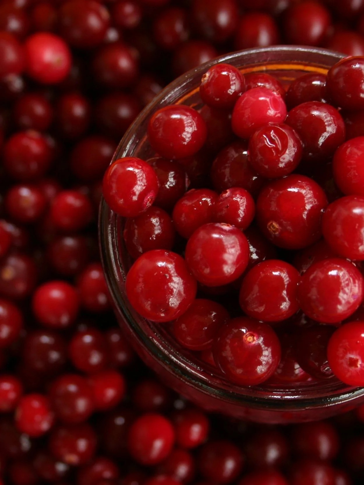 Fresh cranberries close-up