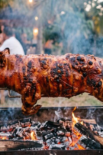 Dominican lechon asado whole roasted suckling pig on spit with crispy skin