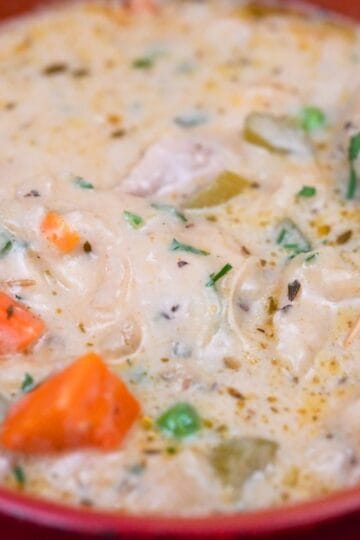 Quick & Easy Creamy Chicken and Dumplings — food photography